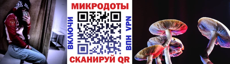 Псилоцибиновые грибы мухоморы  Купить где  Камешково 