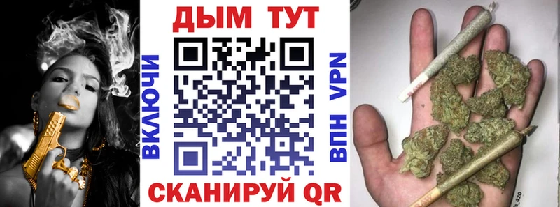 Купить закладки  Камешково  Шишки марихуана сатива 